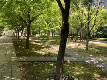 「晴海第一公園」「晴海第二公園」は幼児向けの遊び場